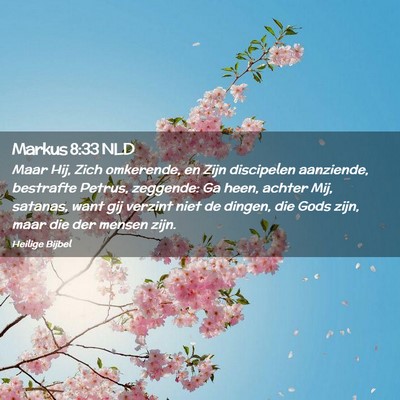 Picture 02 - Markus 8:33 NLD - Maar Hij, Zich omkerende, en Zijn discipelen - Bible Verse Picture