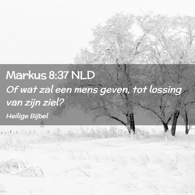 Picture 02 - Markus 8:37 NLD - Of wat zal een mens geven, tot lossing van zijn - Bible Verse Picture