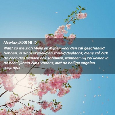 Picture 02 - Markus 8:38 NLD - Want zo wie zich Mijns en Mijner woorden zal - Bible Verse Picture