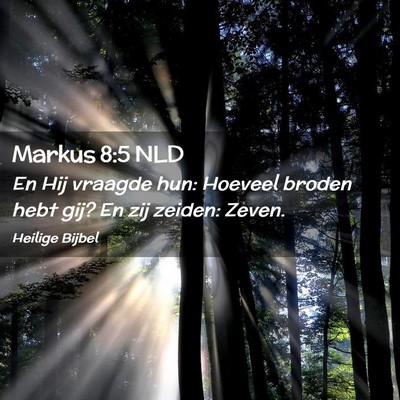 Picture 02 - Markus 8:5 NLD - En Hij vraagde hun: Hoeveel broden hebt gij? En - Bible Verse Picture
