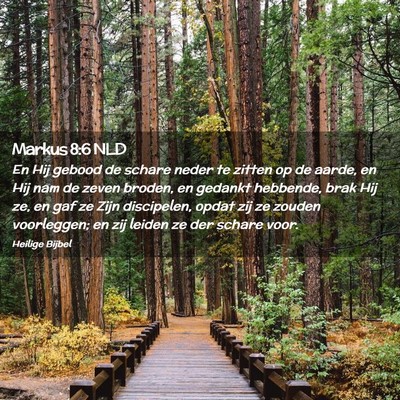 Picture 02 - Markus 8:6 NLD - En Hij gebood de schare neder te zitten op de - Bible Verse Picture