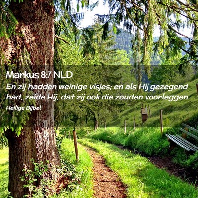 Picture 02 - Markus 8:7 NLD - En zij hadden weinige visjes; en als Hij gezegend - Bible Verse Picture