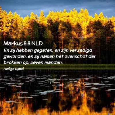 Picture 02 - Markus 8:8 NLD - En zij hebben gegeten, en zijn verzadigd - Bible Verse Picture