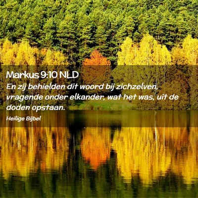 Picture 02 - Markus 9:10 NLD - En zij behielden dit woord bij zichzelven, - Bible Verse Picture