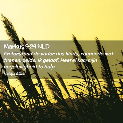 Picture 02 - Markus 9:24 NLD - En terstond de vader des kinds, roepende met - Bible Verse Picture