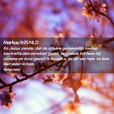 Picture 02 - Markus 9:25 NLD - En Jezus ziende, dat de schare gezamenlijk - Bible Verse Picture