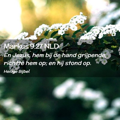 Picture 02 - Markus 9:27 NLD - En Jezus, hem bij de hand grijpende, richtte hem - Bible Verse Picture