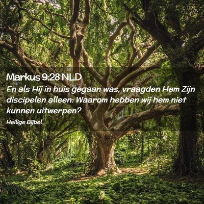 Picture 02 - Markus 9:28 NLD - En als Hij in huis gegaan was, vraagden Hem Zijn - Bible Verse Picture