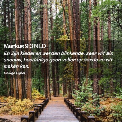 Picture 02 - Markus 9:3 NLD - En Zijn klederen werden blinkende, zeer wit als - Bible Verse Picture