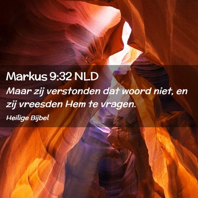 Picture 02 - Markus 9:32 NLD - Maar zij verstonden dat woord niet, en zij - Bible Verse Picture