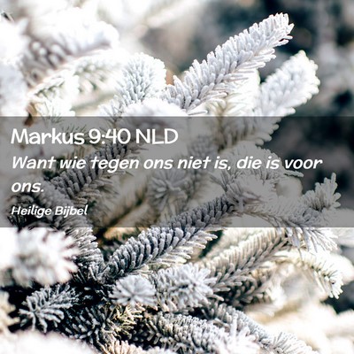 Picture 02 - Markus 9:40 NLD - Want wie tegen ons niet is, die is voor - Bible Verse Picture