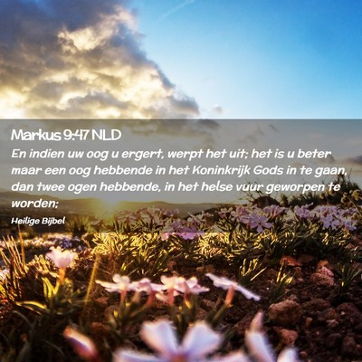 Picture 02 - Markus 9:47 NLD - En indien uw oog u ergert, werpt het uit; het is - Bible Verse Picture