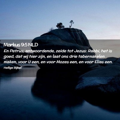 Picture 02 - Markus 9:5 NLD - En Petrus, antwoordende, zeide tot Jezus: Rabbi, - Bible Verse Picture