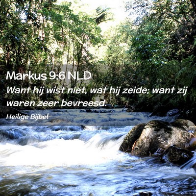 Picture 02 - Markus 9:6 NLD - Want hij wist niet, wat hij zeide; want zij waren - Bible Verse Picture