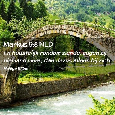 Picture 02 - Markus 9:8 NLD - En haastelijk rondom ziende, zagen zij niemand - Bible Verse Picture