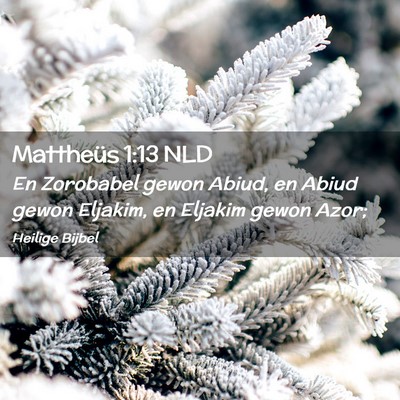 Picture 02 - Mattheüs 1:13 NLD - En Zorobabel gewon Abiud, en Abiud gewon Eljakim, - Bible Verse Picture