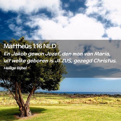 Picture 02 - Mattheüs 1:16 NLD - En Jakob gewon Jozef, den man van Maria, uit - Bible Verse Picture