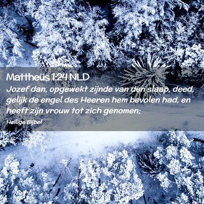 Picture 02 - Mattheüs 1:24 NLD - Jozef dan, opgewekt zijnde van den slaap, deed, - Bible Verse Picture