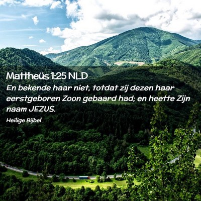 Picture 02 - Mattheüs 1:25 NLD - En bekende haar niet, totdat zij dezen haar - Bible Verse Picture