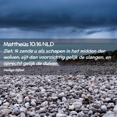 Picture 02 - Mattheüs 10:16 NLD - Ziet, Ik zende u als schapen in het midden der - Bible Verse Picture