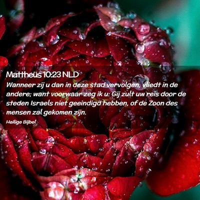 Picture 02 - Mattheüs 10:23 NLD - Wanneer zij u dan in deze stad vervolgen, vliedt - Bible Verse Picture