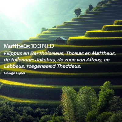 Picture 02 - Mattheüs 10:3 NLD - Filippus en Bartholomeus; Thomas en Mattheus, de - Bible Verse Picture