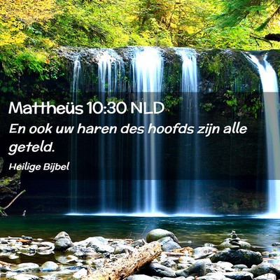 Picture 02 - Mattheüs 10:30 NLD - En ook uw haren des hoofds zijn alle - Bible Verse Picture