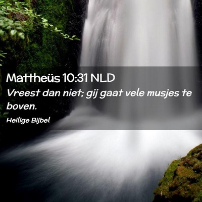 Picture 02 - Mattheüs 10:31 NLD - Vreest dan niet; gij gaat vele musjes te - Bible Verse Picture