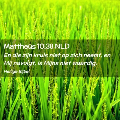 Picture 02 - Mattheüs 10:38 NLD - En die zijn kruis niet op zich neemt, en Mij - Bible Verse Picture