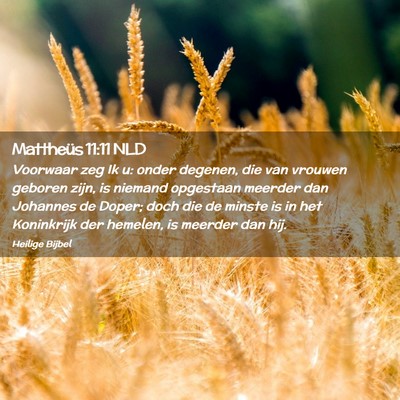 Picture 02 - Mattheüs 11:11 NLD - Voorwaar zeg Ik u: onder degenen, die van vrouwen - Bible Verse Picture