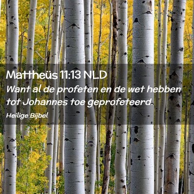 Picture 02 - Mattheüs 11:13 NLD - Want al de profeten en de wet hebben tot Johannes - Bible Verse Picture