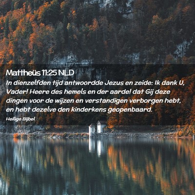 Picture 02 - Mattheüs 11:25 NLD - In dienzelfden tijd antwoordde Jezus en zeide: Ik - Bible Verse Picture