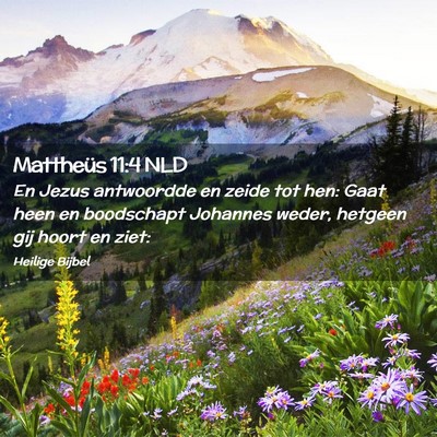 Picture 02 - Mattheüs 11:4 NLD - En Jezus antwoordde en zeide tot hen: Gaat heen - Bible Verse Picture