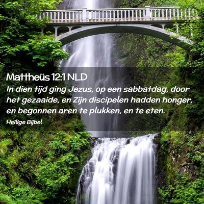 Picture 02 - Mattheüs 12:1 NLD - In dien tijd ging Jezus, op een sabbatdag, door - Bible Verse Picture