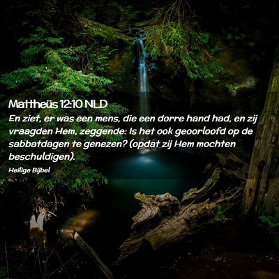 Picture 02 - Mattheüs 12:10 NLD - En ziet, er was een mens, die een dorre hand had, - Bible Verse Picture