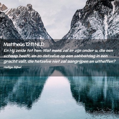 Picture 02 - Mattheüs 12:11 NLD - En Hij zeide tot hen: Wat mens zal er zijn onder - Bible Verse Picture