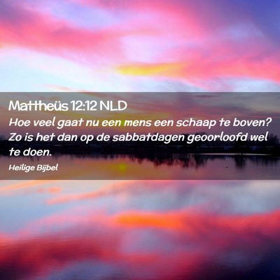 Picture 02 - Mattheüs 12:12 NLD - Hoe veel gaat nu een mens een schaap te boven? Zo - Bible Verse Picture
