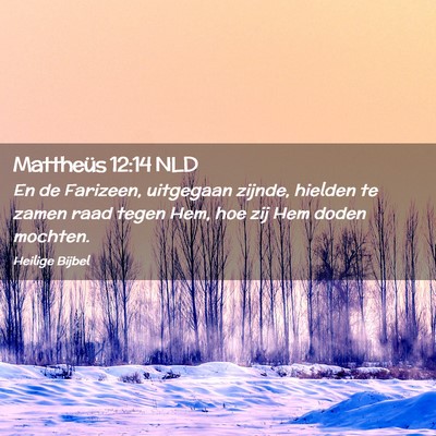 Picture 02 - Mattheüs 12:14 NLD - En de Farizeen, uitgegaan zijnde, hielden te - Bible Verse Picture