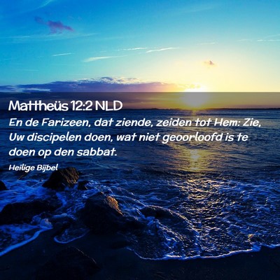 Picture 02 - Mattheüs 12:2 NLD - En de Farizeen, dat ziende, zeiden tot Hem: Zie, - Bible Verse Picture