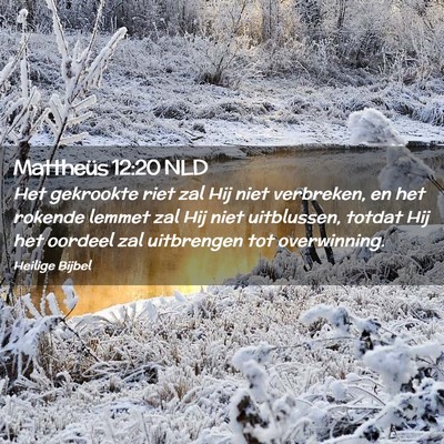 Picture 02 - Mattheüs 12:20 NLD - Het gekrookte riet zal Hij niet verbreken, en het - Bible Verse Picture