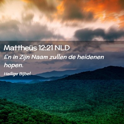 Picture 02 - Mattheüs 12:21 NLD - En in Zijn Naam zullen de heidenen - Bible Verse Picture