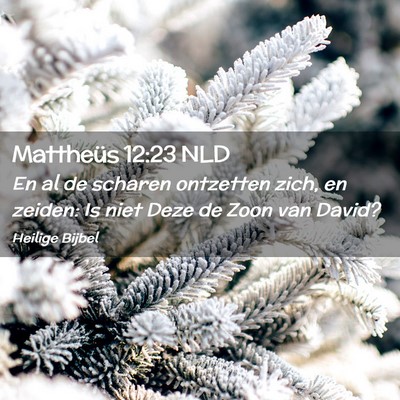 Picture 02 - Mattheüs 12:23 NLD - En al de scharen ontzetten zich, en zeiden: Is - Bible Verse Picture