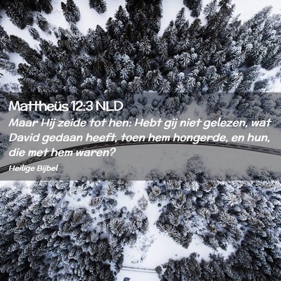 Picture 02 - Mattheüs 12:3 NLD - Maar Hij zeide tot hen: Hebt gij niet gelezen, - Bible Verse Picture