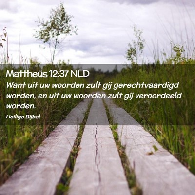 Picture 02 - Mattheüs 12:37 NLD - Want uit uw woorden zult gij gerechtvaardigd - Bible Verse Picture