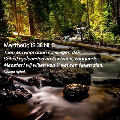 Picture 02 - Mattheüs 12:38 NLD - Toen antwoordden sommigen der Schriftgeleerden en - Bible Verse Picture