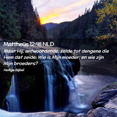 Picture 02 - Mattheüs 12:48 NLD - Maar Hij, antwoordende, zeide tot dengene die Hem - Bible Verse Picture