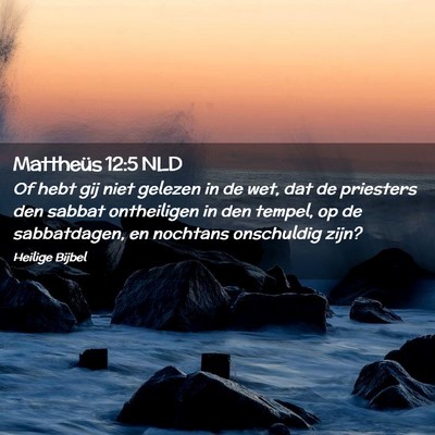 Picture 02 - Mattheüs 12:5 NLD - Of hebt gij niet gelezen in de wet, dat de - Bible Verse Picture