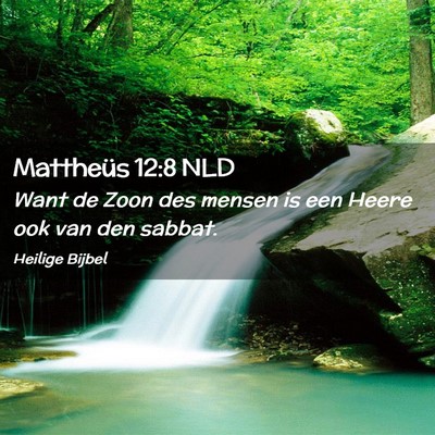 Picture 02 - Mattheüs 12:8 NLD - Want de Zoon des mensen is een Heere ook van den - Bible Verse Picture