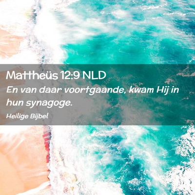 Picture 02 - Mattheüs 12:9 NLD - En van daar voortgaande, kwam Hij in hun - Bible Verse Picture