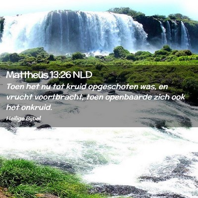 Picture 02 - Mattheüs 13:26 NLD - Toen het nu tot kruid opgeschoten was, en vrucht - Bible Verse Picture